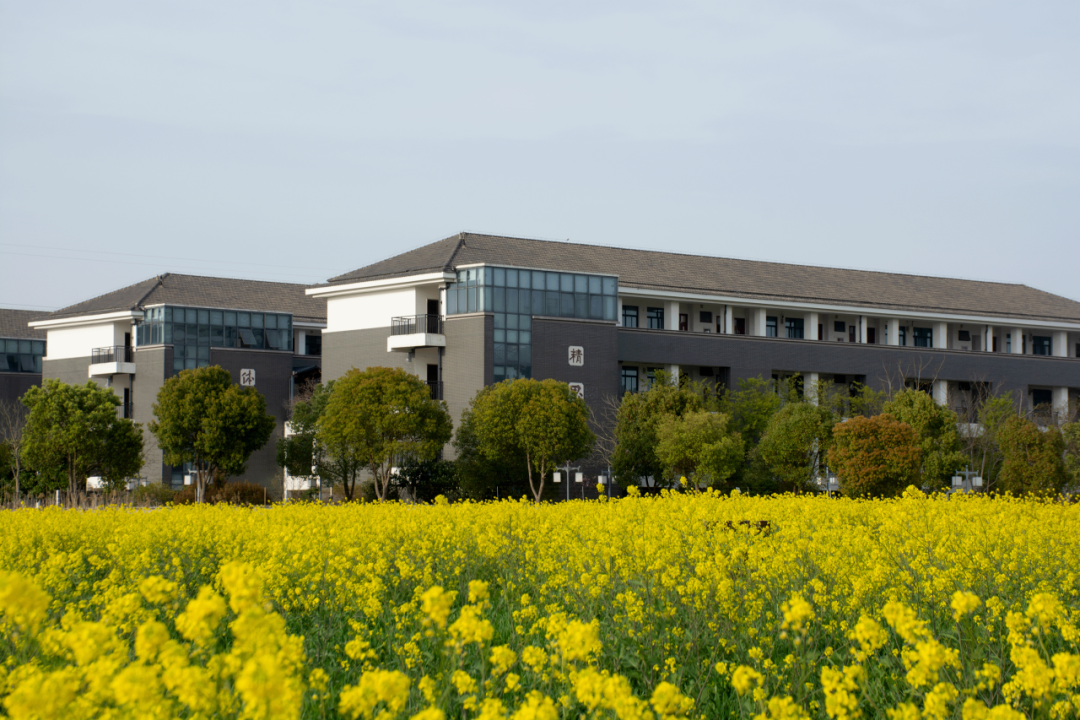 家校携手，从心出发 —— 致家长的一封信